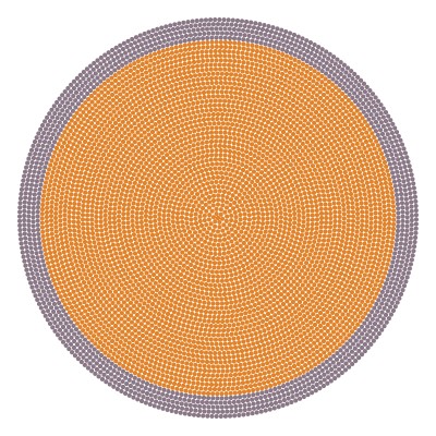 Сonfigurated rug