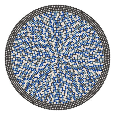 Сonfigurated rug