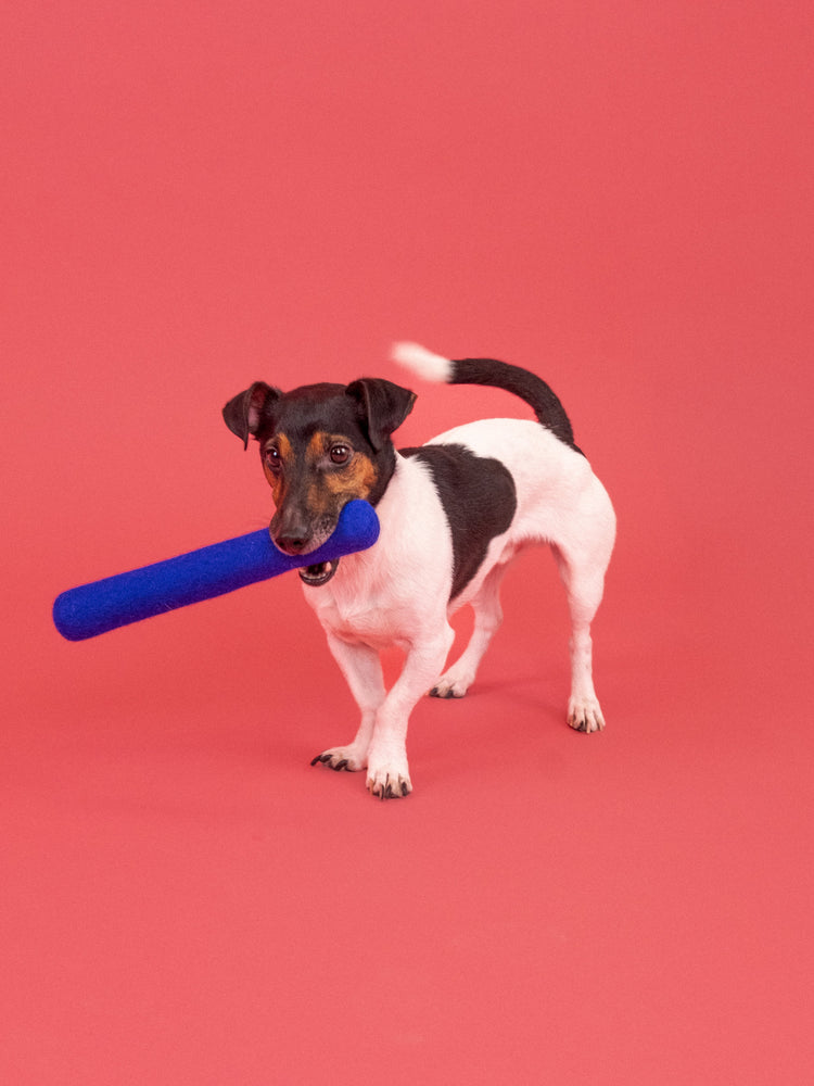 Mats Hundespielzeug - Stock