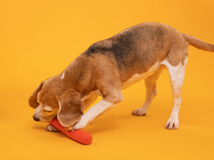 Fine Hundespielzeug - Stock